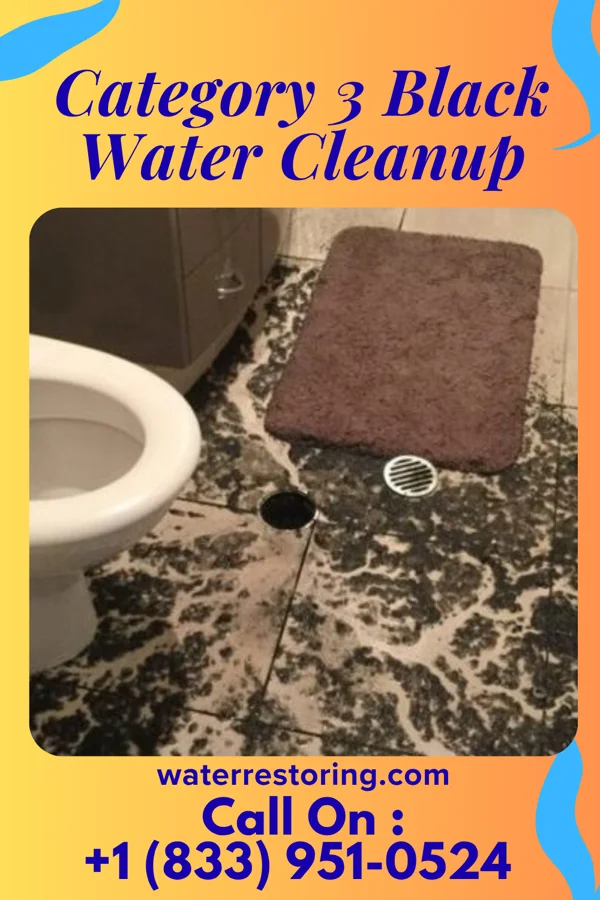 Category 3 Black Water Cleanup in Willow Lake, SD